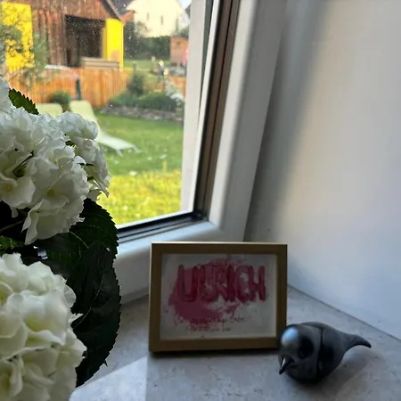 Sonnenhof Wildkatta Fruehstueckspension