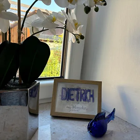 Sonnenhof Wildkatta Fruehstueckspension Pensjonat