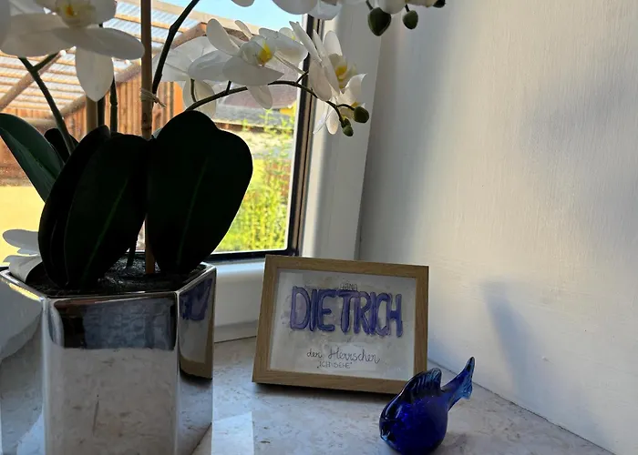 Sonnenhof Wildkatta Fruehstueckspension Gasthuis